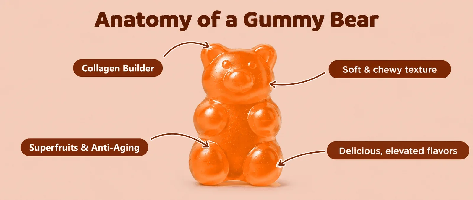 Anatomy of a Gummy Bear: Collagen Builder, soft and chewy texture, Superfruits & Anti-Aging, delicious elevated flavors