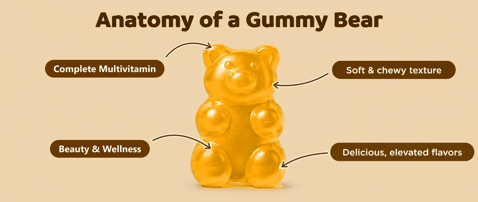 Anatomy of a Gummy Bear: Complete Multivitamin, soft and chewy texture, Beauty & Wellness, delicious elevated flavors