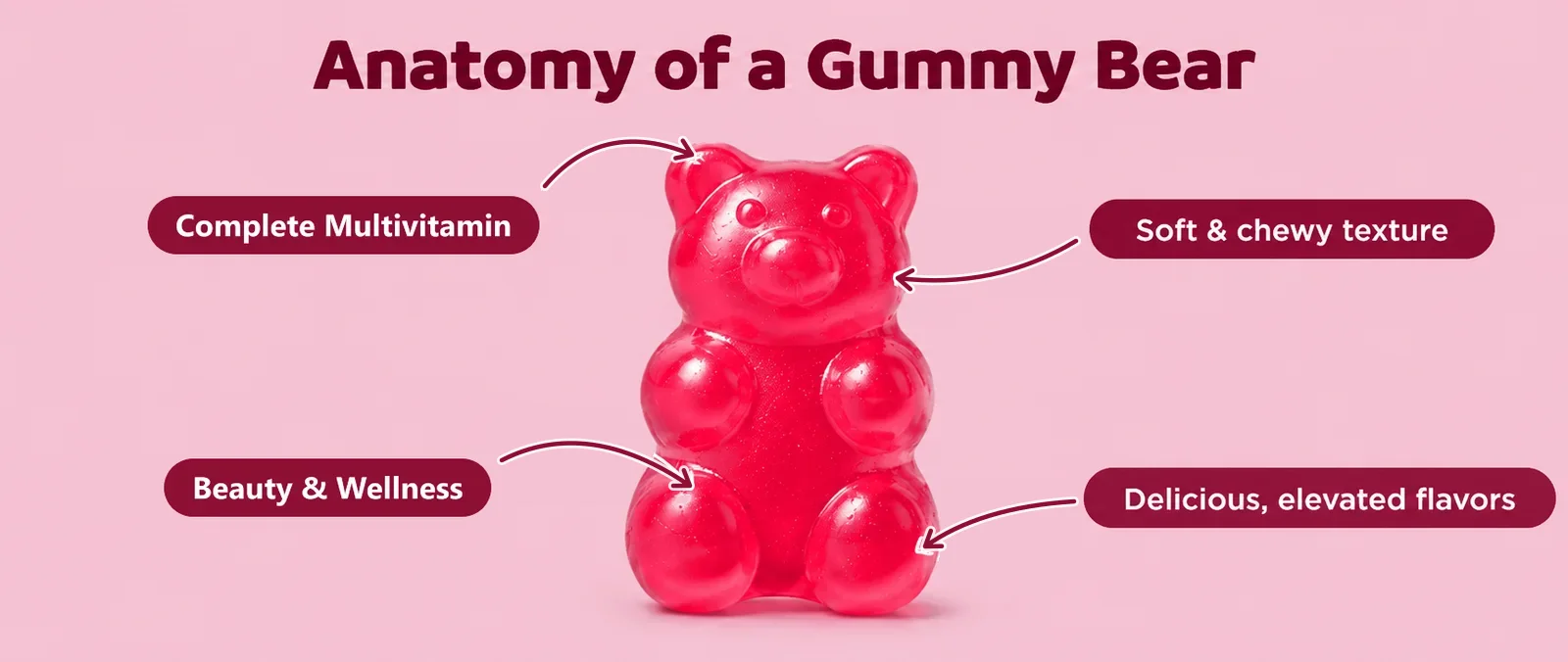 Anatomy of a Gummy Bear: Complete Multivitamin, soft and chewy texture, Beauty & Wellness, delicious elevated flavors