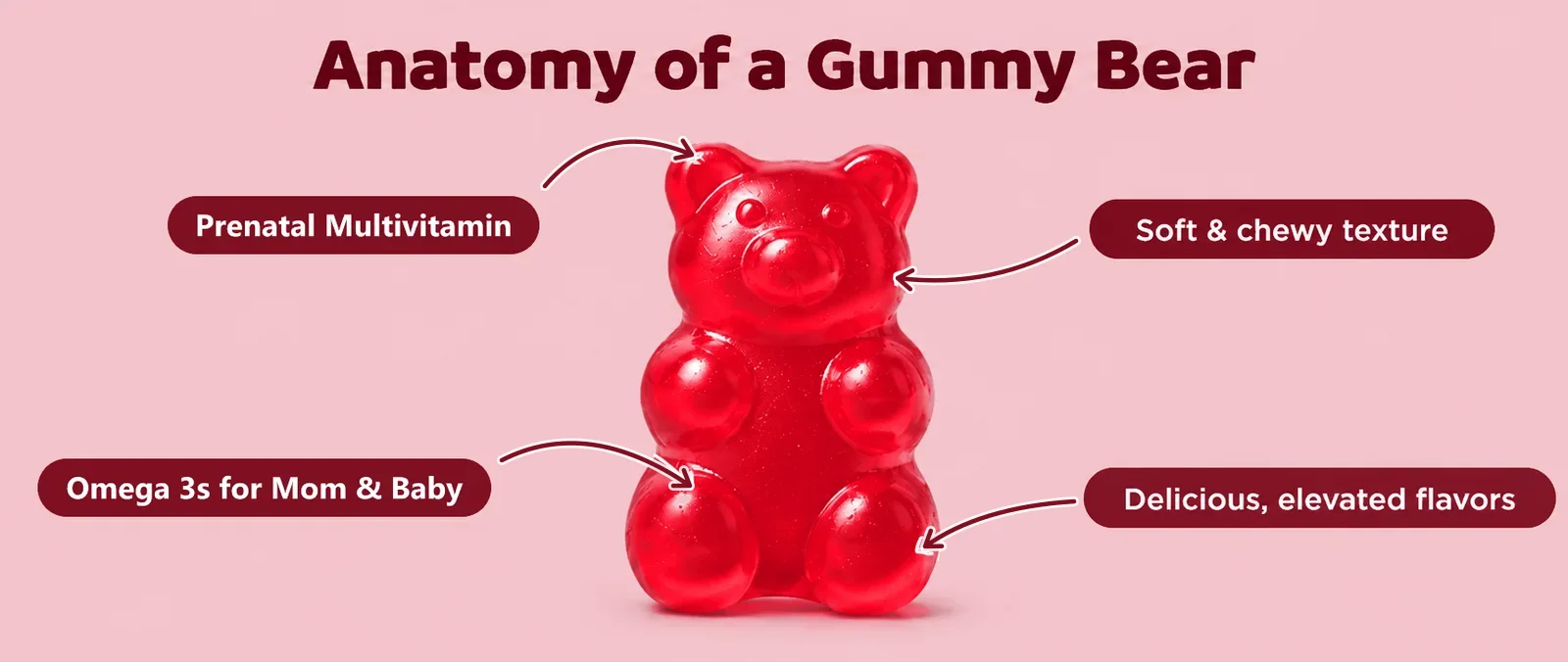 Anatomy of a Gummy Bear: Prenatal Multivitamin, soft and chewy texture, Omega 3s for Mom & Baby, delicious elevated flavors