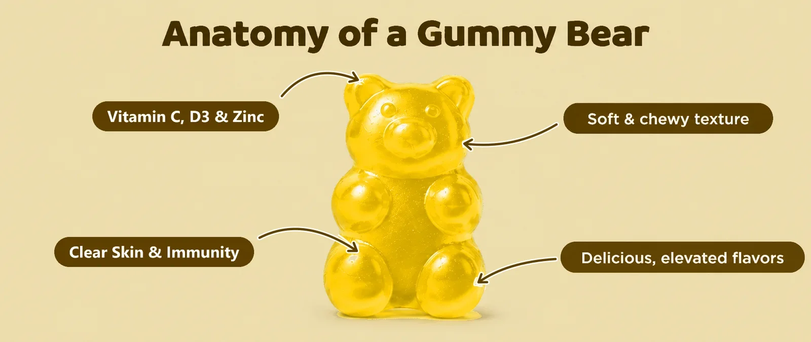 Anatomy of a Gummy Bear: Vitamin C, D3 & Zinc, soft and chewy texture, Clear Skin & Immunity, delicious elevated flavors