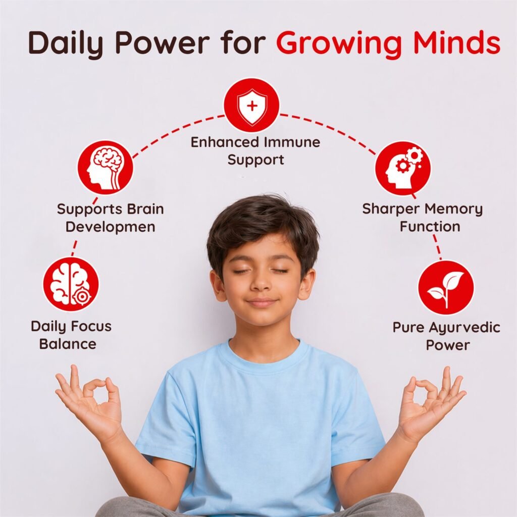 Brain Booster, photo 4