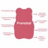 Purna mama-bear-prenatal gummies image 6