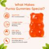 Purna youthful-you-collagen gummies image 4